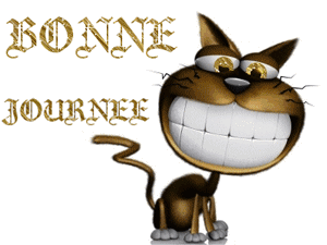 Gif animé bonne journée chat